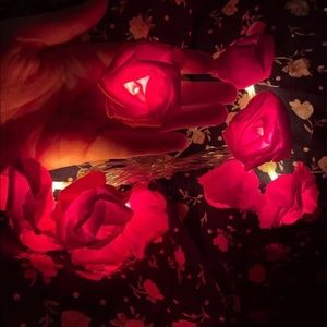 String of red rose lights